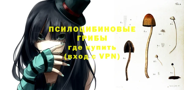 прущие крисы Верея