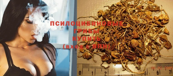 прущие крисы Верея
