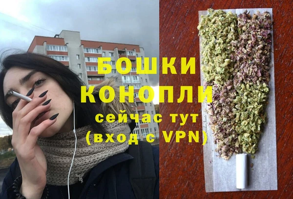 прущие крисы Верея