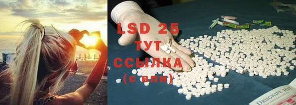 прущие крисы Верея