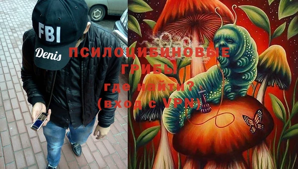 прущие крисы Верея