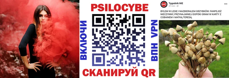 darknet формула  Комсомольск-на-Амуре  Галлюциногенные грибы Psilocybine cubensis 